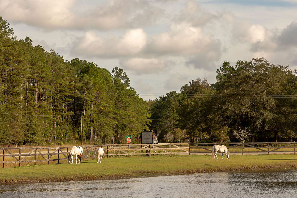 Boots & BBQ Highlight Photo