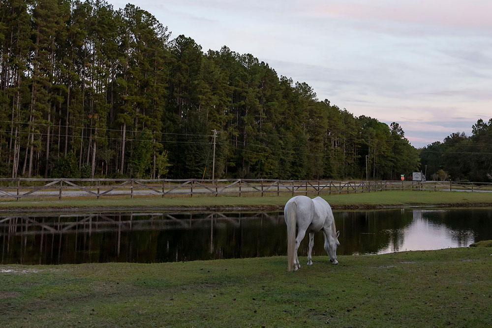 Boots & BBQ Highlight Photo