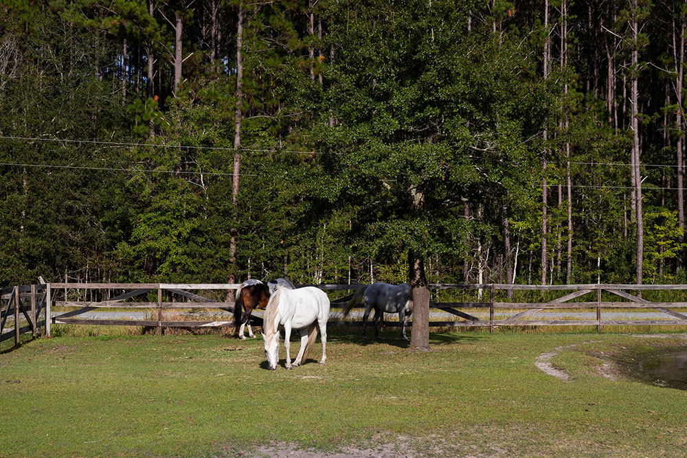 Boots & BBQ Highlight Photo