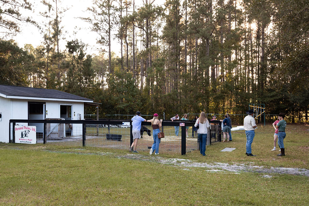 Boots & BBQ Highlight Photo