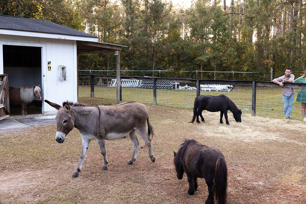 Boots & BBQ Highlight Photo