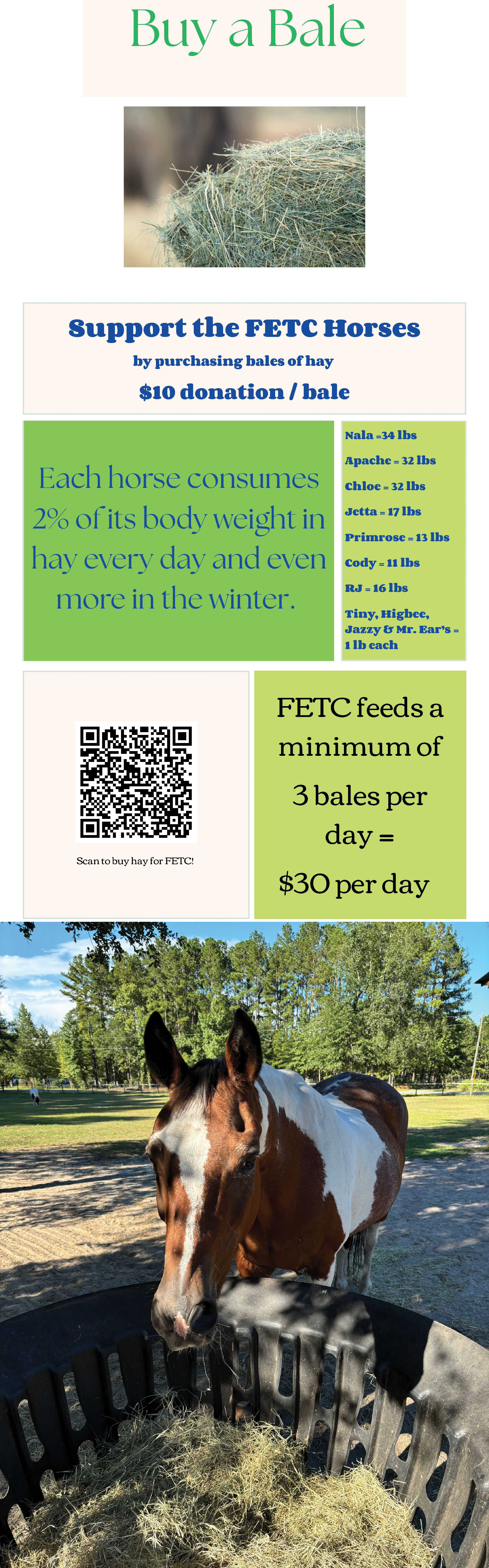Buy a Bale Flyer with link to PayPal Donation link